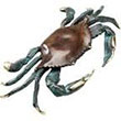 SPI Crab.jpg